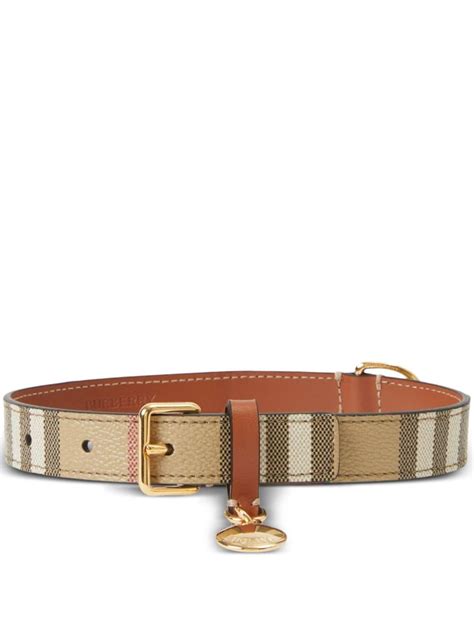 collier burberry chien|Collier moyen pour chien Check (Beige d'archive/Bois.